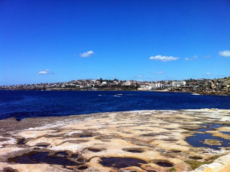 とび太くん、ついに白人圏に登場か?!＠オーストラリア・シドニー編